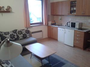 Apartmán Borgi في أوسكادنيكا: غرفة معيشة مع أريكة وطاولة