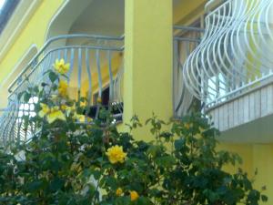 Balkón nebo terasa v ubytování Marko Rooms