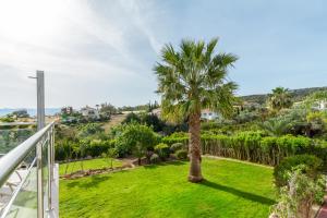 a palm tree in the yard of a house at Villa Riverside in Polis Chrysochous