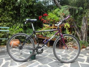 a bike parked next to a table with flowers at Casa Coimbra in Coimbra