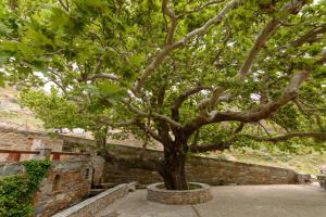 Billede fra billedgalleriet på Makronas Apartments i Karistos