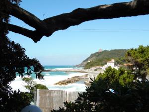- une vue sur la plage depuis un arbre dans l'établissement La Casa di Filippo, à Quercianella