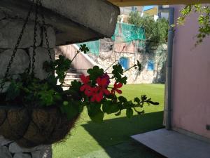 Zahrada ubytování Apartment Igralište Mirakul