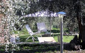 A garden outside Casa vacanze gli ulivi