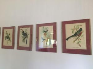 Zdjęcie z galerii obiektu Apartament pod Piernikiem w Toruniu