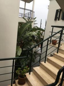 Fotografie z fotogalerie ubytování Casita Verdi Evleri v destinaci Yalıkavak