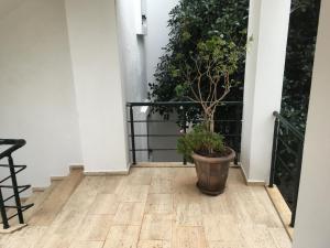 Fotografie z fotogalerie ubytování Casita Verdi Evleri v destinaci Yalıkavak