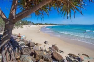 a beach with a palm tree and people in the water at Eumundi Mountain Retreat in Eumundi