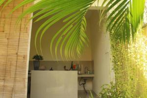 a room with a table and a green plant at Purnama Guesthouse in Canggu