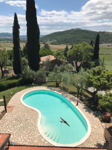 a large swimming pool in the middle of a garden at Agriturismo Villa Rancio in Passignano sul Trasimeno