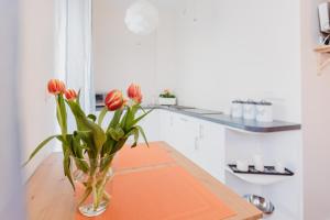 Kuchyňa alebo kuchynka v ubytovaní Garden Apartment + 34 fotografií