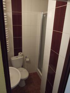 クリニツァ・ズドルイにあるGoprówkaのバスルーム(トイレ、洗面台、シャワー付)
