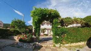 Zahrada ubytování Apartmani Kaštelan
