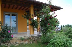 Zahrada ubytování Villa Lucrezia