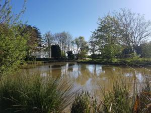 Loodusmaastik puhkemaja lähedal +5 fotot