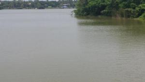Vista sul fiume nelle vicinanze dell'affittacamere