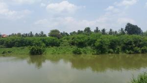 Paesaggio naturale nelle vicinanze dell'affittacamere