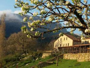 un edificio en una colina con un árbol en primer plano en Masseria Rocca di Gonato, en Castelbuono