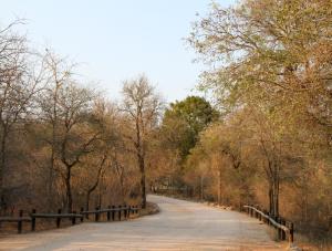 Gallery image of Burchell's Bush Lodge by Dream Resorts in Sabi Sand Game Reserve