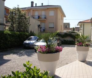 Zahrada ubytování Hotel Goldene Rose