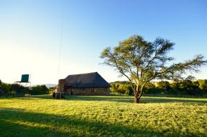 an old barn and a tree in a field at Swartkop Cottage in Winterton