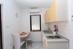 Kuchyň nebo kuchyňský kout v ubytování Apartments Pataj