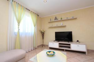 TV a/nebo společenská místnost v ubytování Apartments Pataj