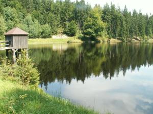 Foto de la galería de Gästehaus Familie Grudl en Bärnkopf