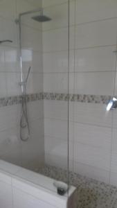 eine Dusche mit einer Glastür und einer Badewanne in der Unterkunft Lavendel Cottage in Sedgefield