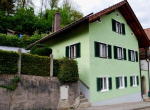 een groen huis met zwarte ramen en een hek bij Salzachblick in Oberndorf bei Salzburg