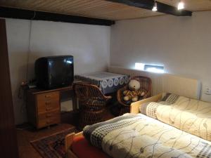 TV a/nebo společenská místnost v ubytování Opolenec