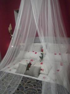 a bed with a mosquito net and pillows at El Rincon de Pepa in La Zubia