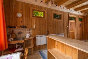 a kitchen with wooden walls and a sink and a counter at Kwatery Prywatne-Romanówka in Zakopane