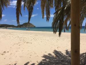 a view of a beach with a palm tree at Hotel Spartivento in Chia