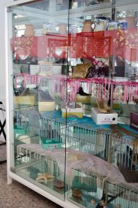 a display case filled with lots of different types of bird cages at Hotel Angelino in Ischia