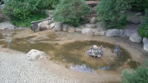 Billede fra billedgalleriet på Kastanienhof Lübben i Lübben