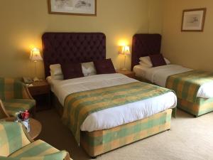 una camera d'albergo con due letti e una sedia di Faythe Guesthouse a Wexford