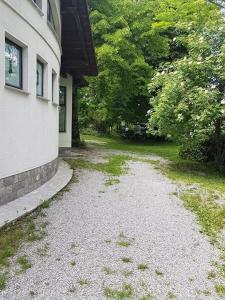 Zahrada ubytování Guest House Šterk