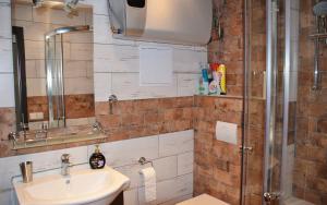 Koupelna v ubytování Apartmán Vanessa + 5 fotografií