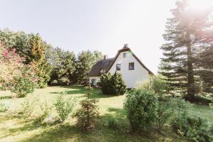 a house in the middle of a yard with trees at Haus an der Tanne in Wieck