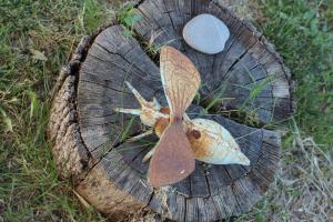 Fotografie z fotogalerie ubytování Agriturismo I Casamenti v destinaci Istia dʼOmbrone
