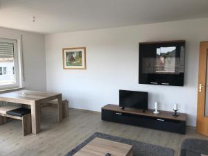 TV a/nebo společenská místnost v ubytování Exklusive Wohnung mit Dachterrasse in Schleußig