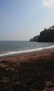 Foto dalla galleria di Dawlish Sea View Apartment a Dawlish