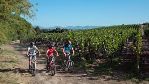 tres personas montando bicicletas por un camino de tierra en un viñedo en Clos Apalta Residence Relais & Chateaux en Santa Cruz