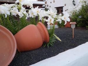 Zahrada ubytování Finca de los Abuelos