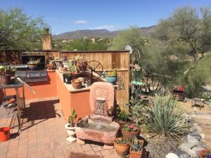 eine Terrasse mit einem Haufen Topfpflanzen und einem Brunnen in der Unterkunft Spur Cross Inn in Cave Creek