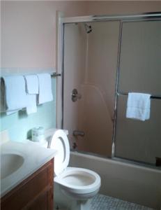 a bathroom with a toilet and a sink and a shower at Shamrock Motel Hot Springs in Hot Springs