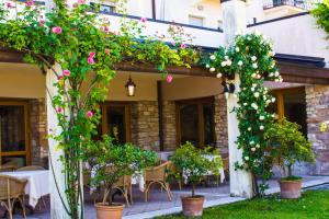Zahrada ubytování Hotel Belvedere