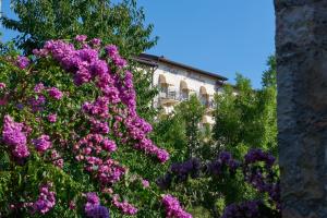 Zahrada ubytování Hotel Belvedere