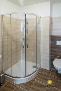 La salle de bains est pourvue d'une cabine de douche et de toilettes. dans l'établissement Apartmány Jindřichův Hradec, à Jindřichův Hradec